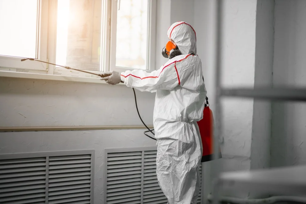 Professional mold remediation services in Broadview, IL